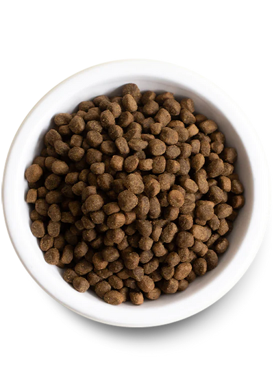 Kibble Size for Open Farm for Dogs - Kind Earth Premium Plant Recipe Dry Food