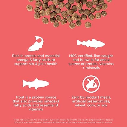 PETCUREAN GO! Carnivore: Grain-free Salmon + Cod Recipe for Cats