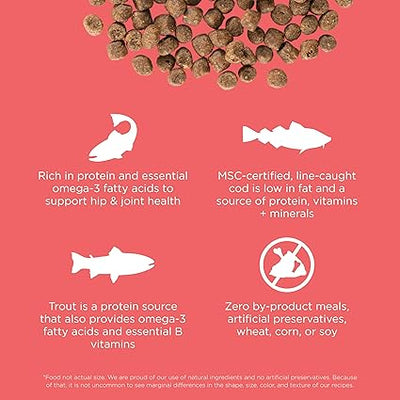 PETCUREAN GO! Carnivore: Grain-free Salmon + Cod Recipe for Cats