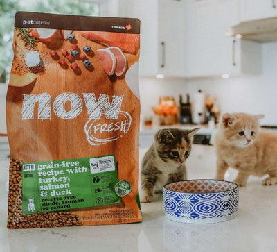 PETCUREAN Now Fresh - Dinde, Saumon + Canard sans céréales pour chatons