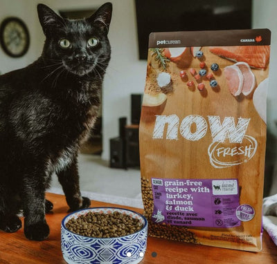 PETCUREAN Now Fresh – Dinde, saumon et canard sans céréales pour chats âgés