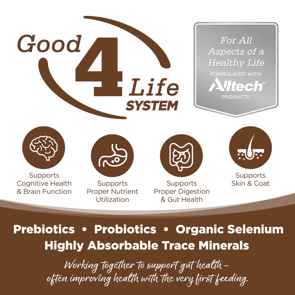 Good 4 Life System (Prebiotics, Probiotics, Organic Selenium, Highly Absorbable Trace Minerals)