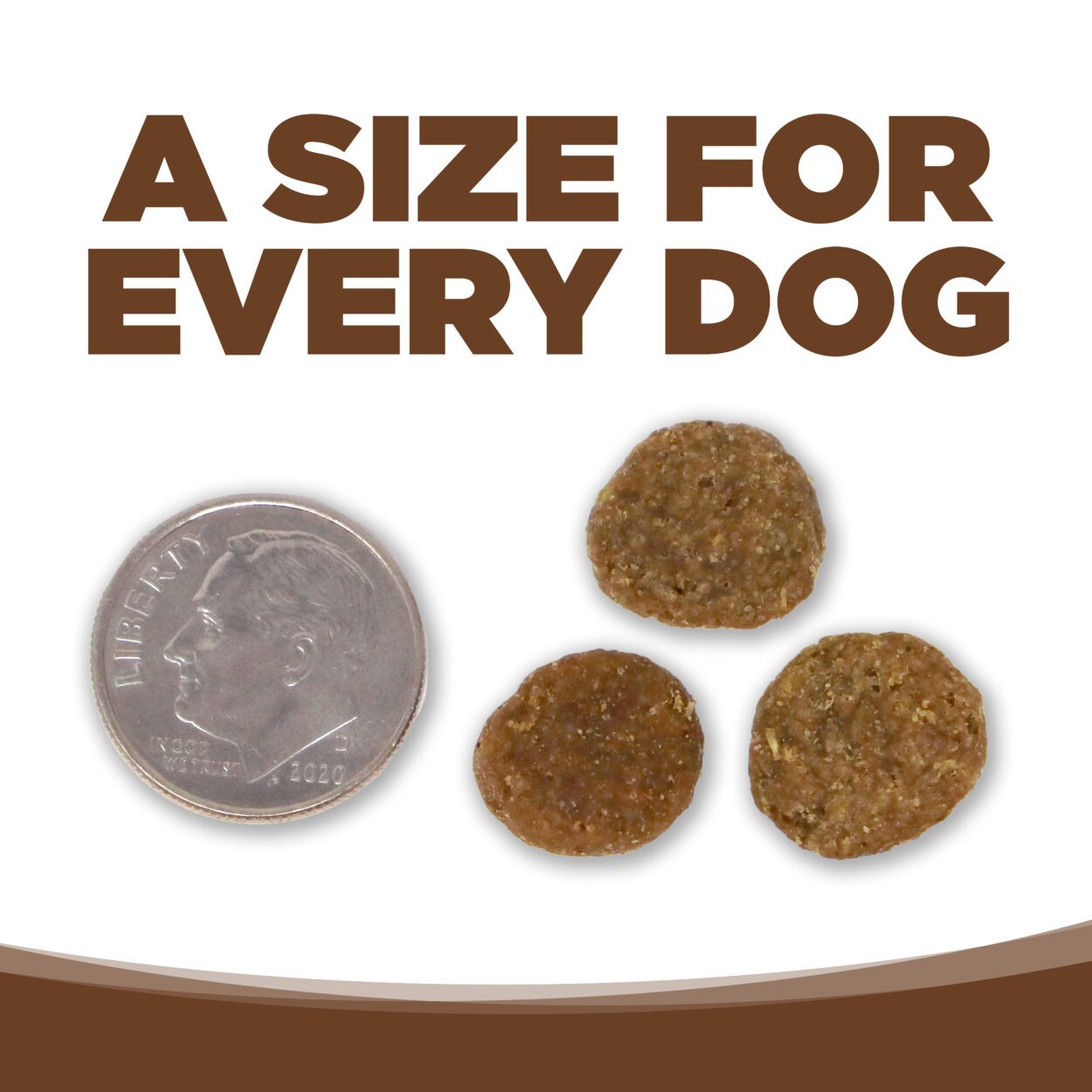 A Size for every Dog (Kibble is the size of a Nickle)