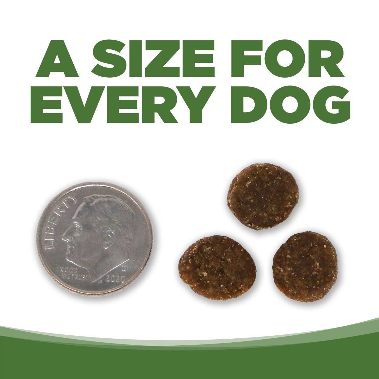 A Size for every Dog (Kibble is the size of a Nickle)