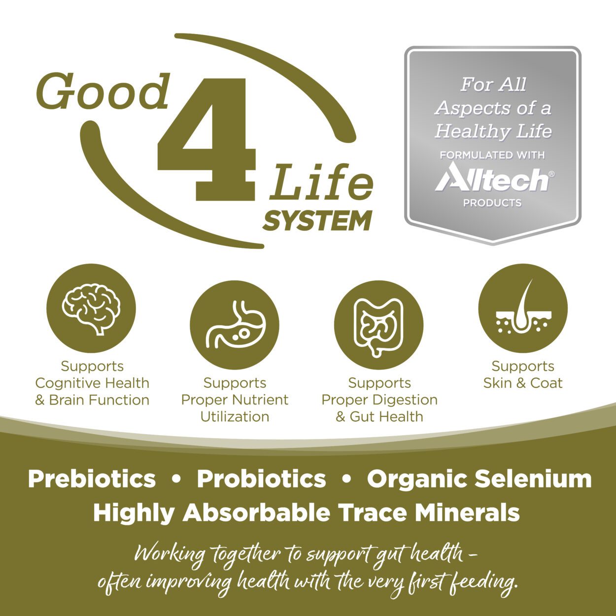 Good 4 Life System (Prebiotics, Probiotics, Organic Selenium, Highly Absorbable Trace Minerals)