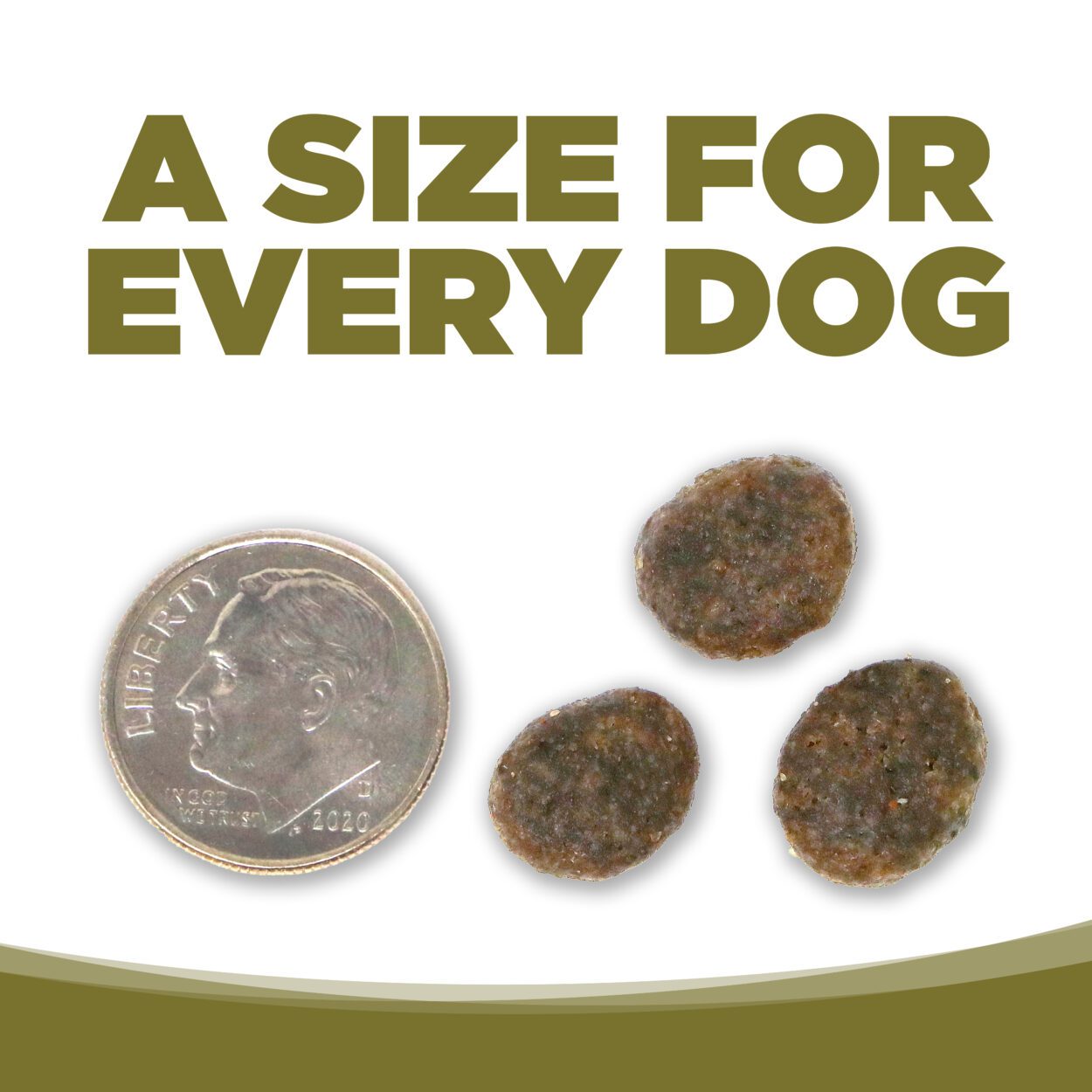 A Size for every Dog (Kibble is the size of a Nickle)