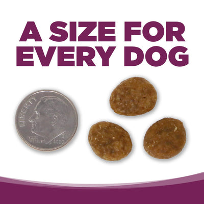 A Size for Every Dog