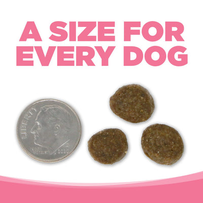 A size for every dog