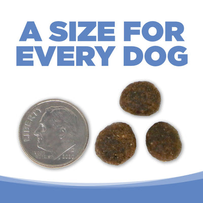 NutriSource PureVita: Limited Ingredient Grain-free | Turkey and Sweet Potato Entrée Dry Dog Food