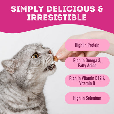 Pet Treatery Friandises au saumon déshydraté de qualité supérieure pour chiens et chats