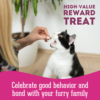 Pet Treatery Friandises au saumon déshydraté de qualité supérieure pour chiens et chats