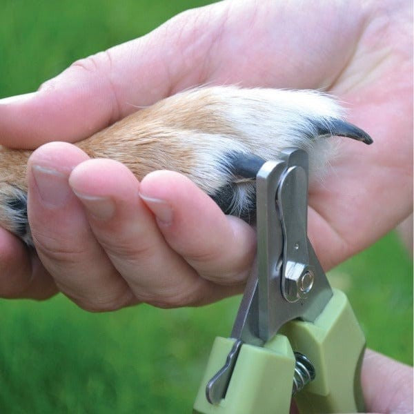 Safari Professional Stainless Steel Dog Nail Trimmer (small)