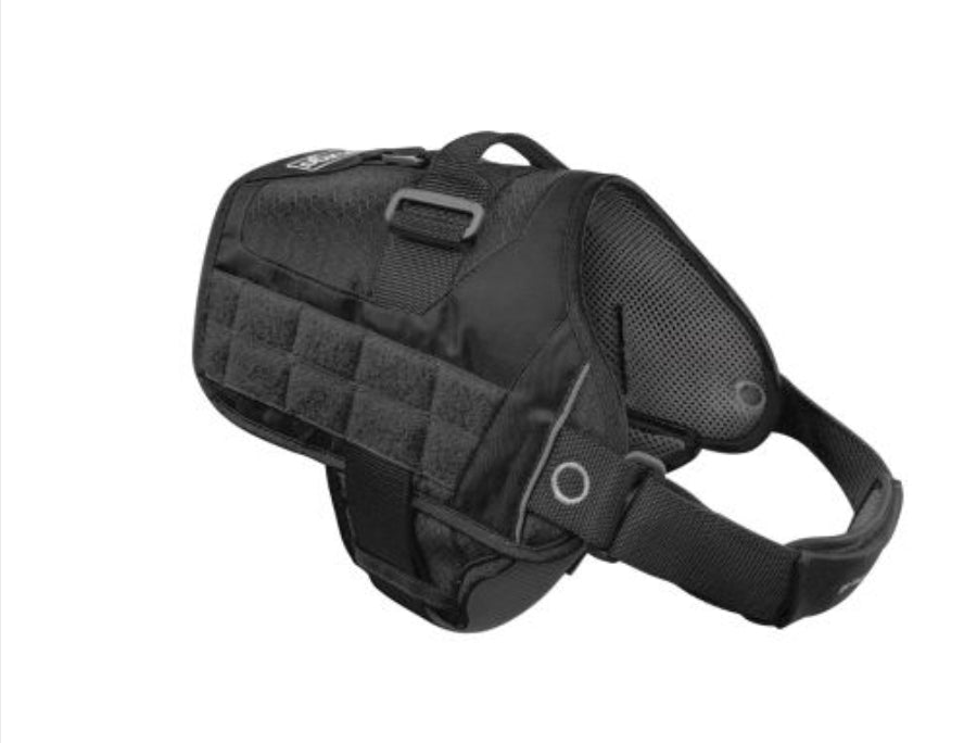Kurgo Townie Harness for Dogs