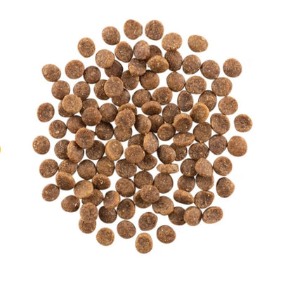 PETCUREAN GO! Carnivore: Grain-free Salmon + Cod Recipe for Cats