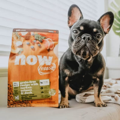PETCUREAN Now Fresh: Grain-Free Turkey, Salmon and Duck for Small Breed Dogs