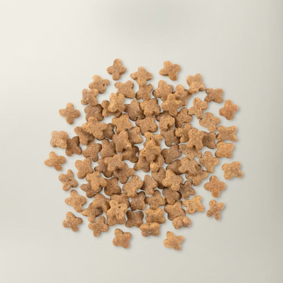 PETCUREAN Now Fresh: Grain-Free Turkey, Salmon and Duck for Small Breed Dogs
