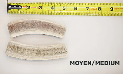 Dentler Antler Dog Chew
