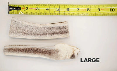 Dentler Antler Dog Chew