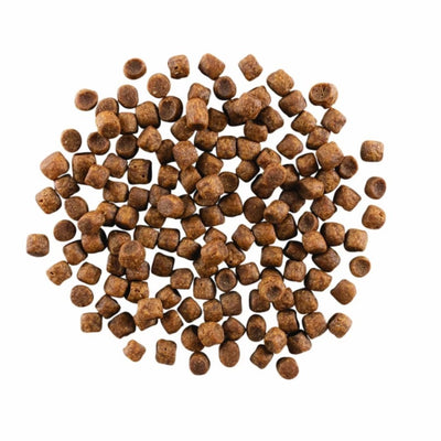 PETCUREAN GO! Carnivore: Grain-Free Chicken, Turkey + Duck Recipe for Cats