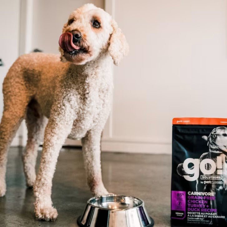 PETCURIEN ALLEZ! Carnivore : Poulet, Dinde + Canard sans céréales pour chiens seniors