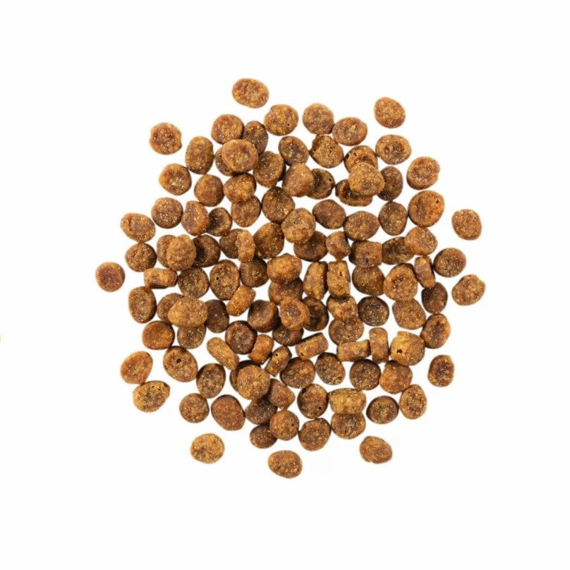 PETCUREAN GO! Sensitivities: Limited Ingredient Grain-Free Salmon Recipe for Cats