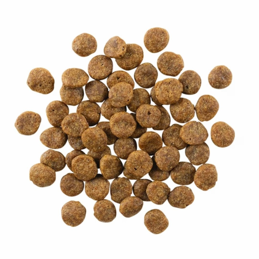 PETCUREAN GO! Sensitivities: Limited Grain-Free Salmon Recipe for Dogs
