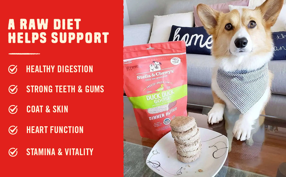 A Raw Diet Helps Support: Digestion, Teeth, Skin, Heart and Stamina