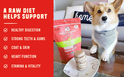 A Raw Diet Helps Support: Digestion, Teeth, Skin, Heart and Stamina