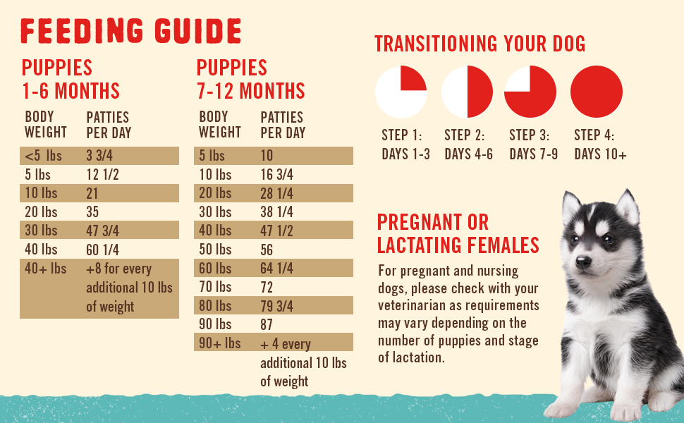 Feeding Best Diet For Siberian Husky Siberian Husky Puppy Weight