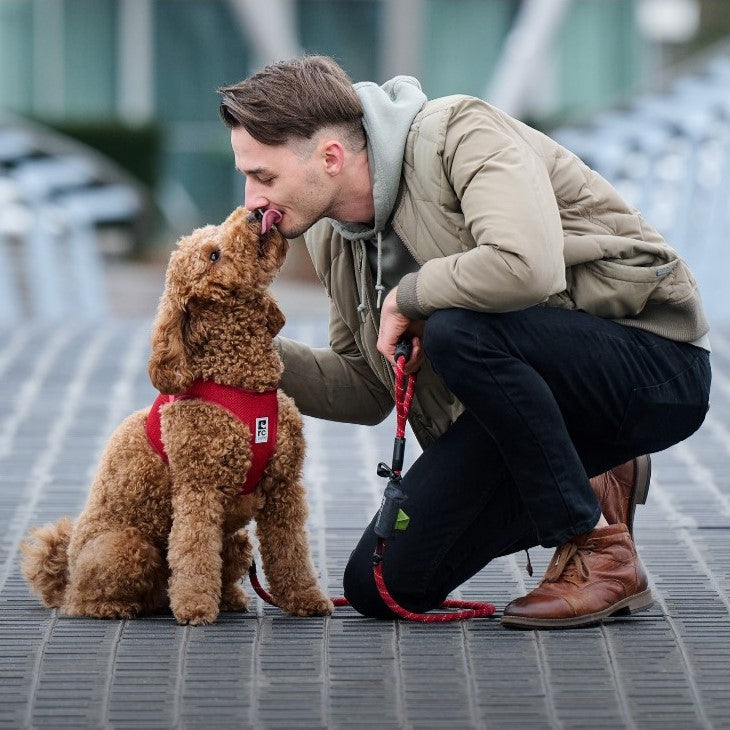 RC Pets Step In Cirque Harness – The Angels Pet Store