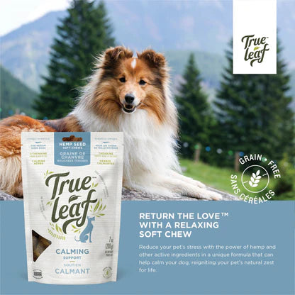 True Leaf - Calming Support for Dogs