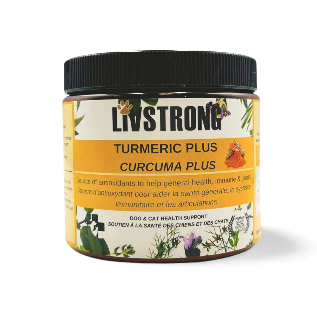 LIVSTRONG - Tumeric Plus Health Support for Dogs and Cats