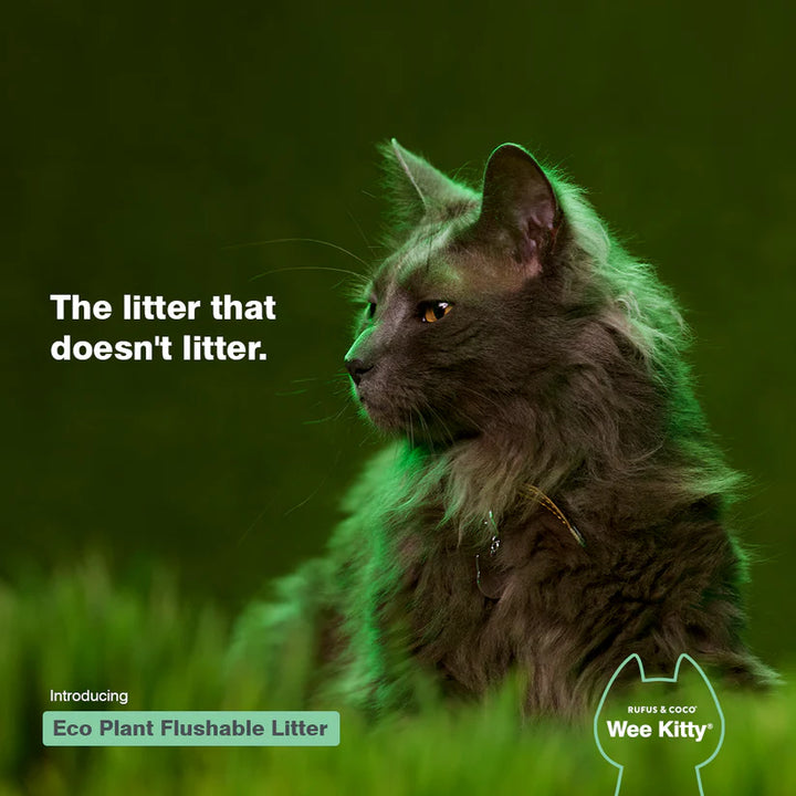 Is flushable litter really flushable sale