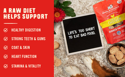 A Raw Diet Helps Support: Digestion, Teeth, Skin, Heart And Stamina