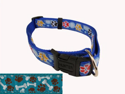 Hunter - Adjustable Martingale Dog Collar (Aqua Bones Blue)