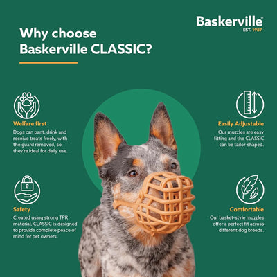 Company of Animals - Baskerville - Classic Muzzle