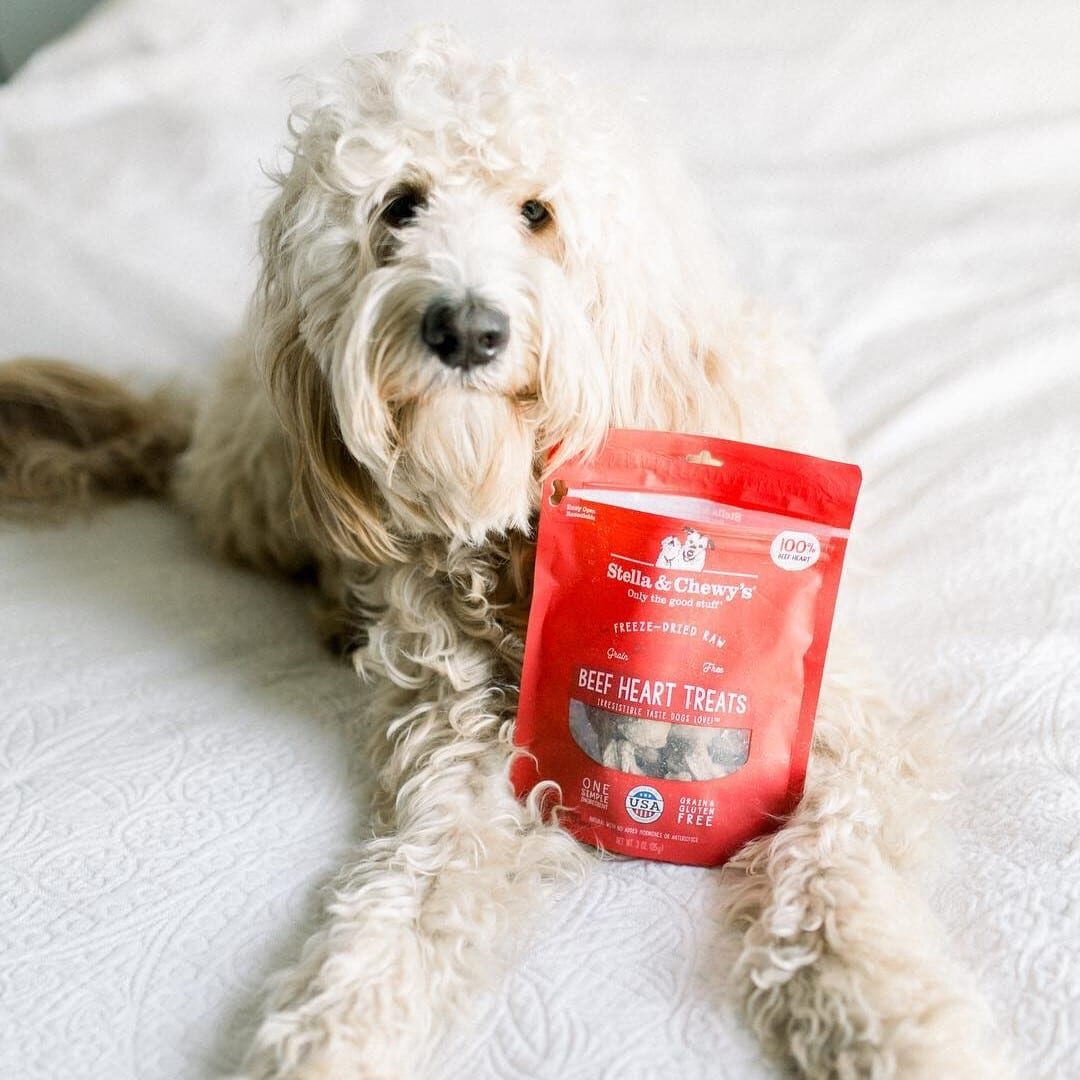 Stella & Chewy's - Single Ingredient Beef Heart Treats for Dogs