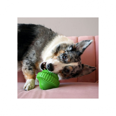 Kong - Squeezz - Orbitz Spin Top