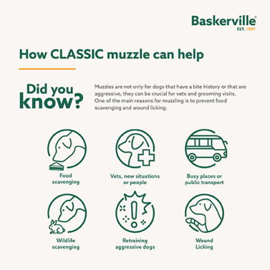 Company of Animals - Baskerville - Classic Muzzle