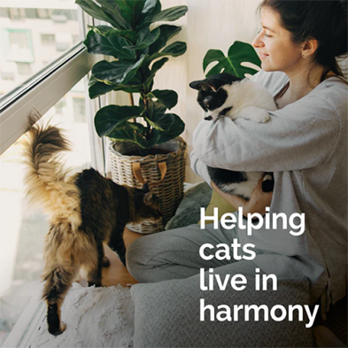 Vetality - Harmony Pet - Calming Spray for Cats (1.62oz)