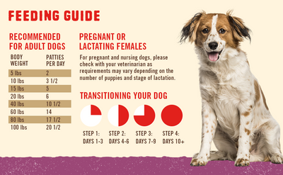 Feeding Guide