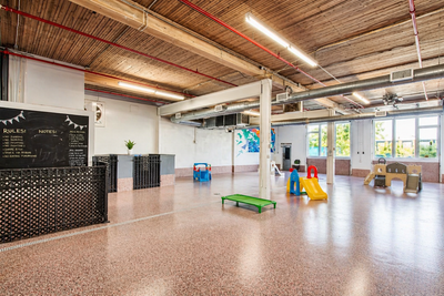 dog canine hotel boarding for dogs montreal clean social loving stay vacations home or center 