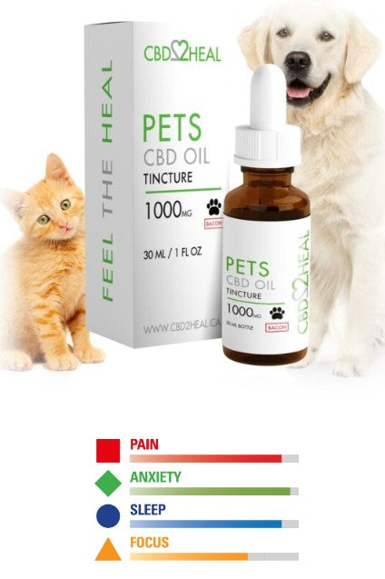 Huile de CBD pour animaux de compagnie – The Angels Pet Store