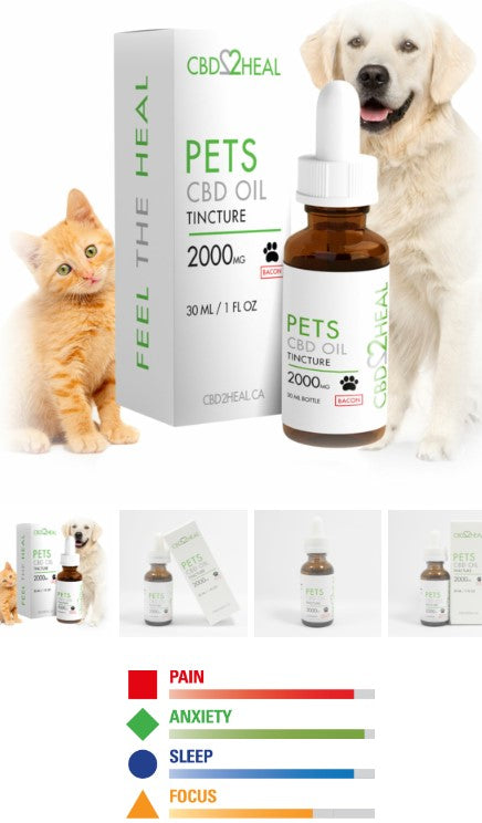 Huile de CBD pour animaux de compagnie – The Angels Pet Store