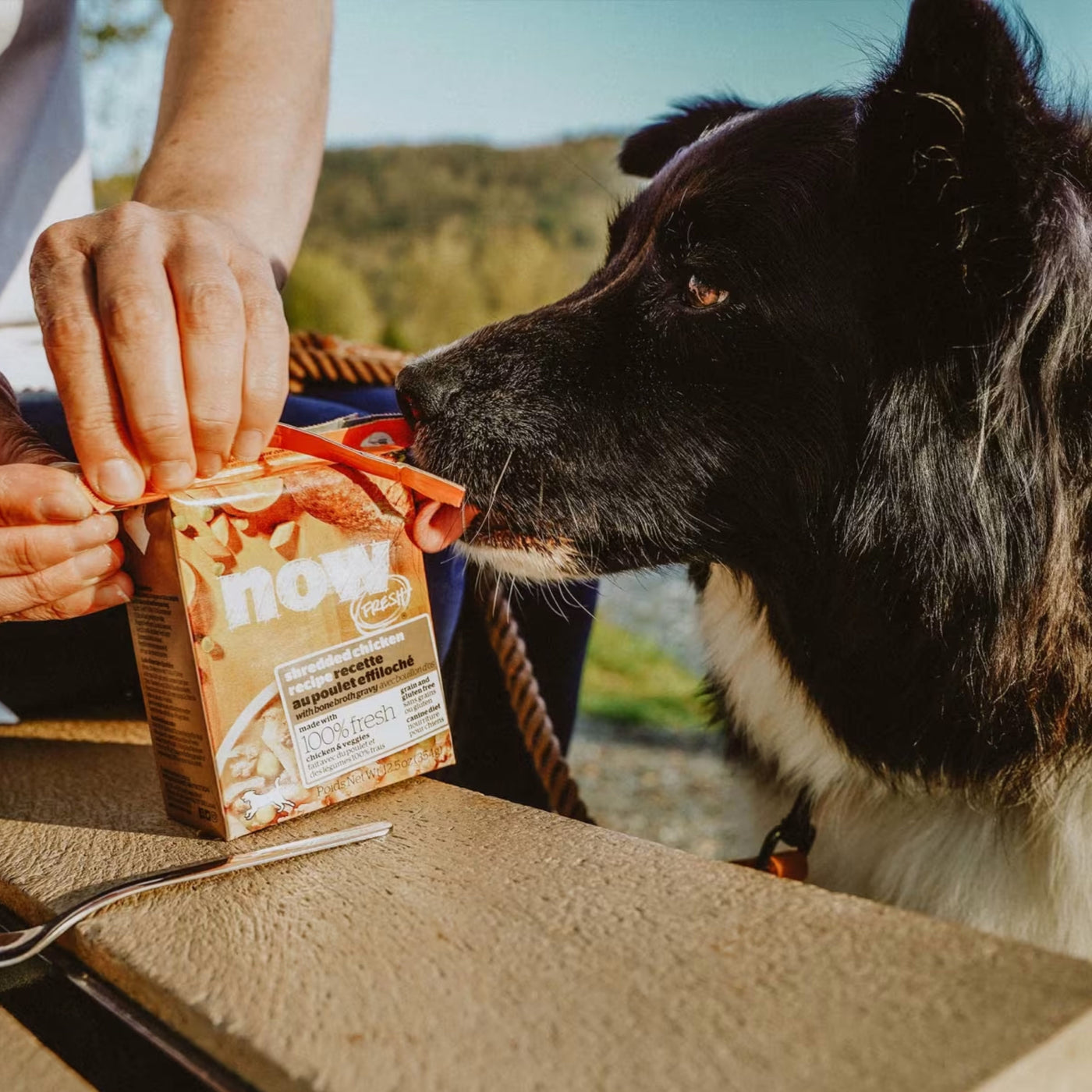 Now Fresh - Tetra Pak Grain Free Shredded Chicken Recipe For Dogs