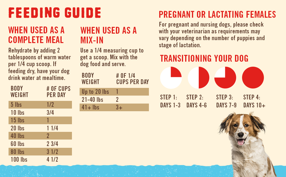 Feeding Guide for Stella & Chewy's - Dandy Lamb Meal Mixers for Dogs