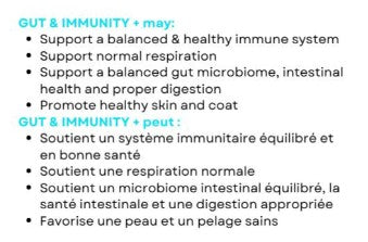Myco Pet - Gut & Immunity + Dog & Cat Supplement 30g