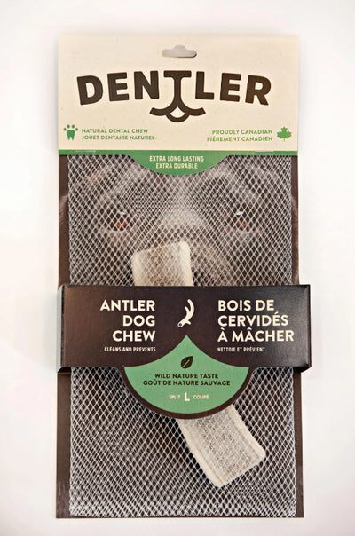 Dentler Antler Dog Chew