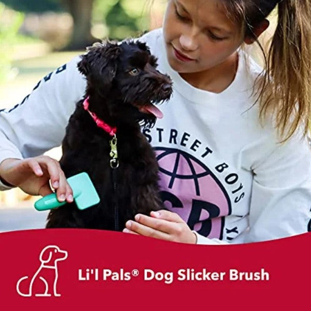 Brosse autonettoyante pour chien Li'l Pals