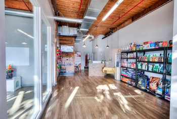 montreal_dog_Daycare_Pet_Store_animalerie_hotel_pet_boarding_best_number_1_NDG